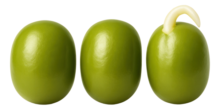 Single Brazil nut encased in a clear, resealable plastic pouch with a minimalist label for easy storage.