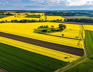 Aerial view reveals vibrant yellow canola fields and green fields. A sunny day with scattered clouds
