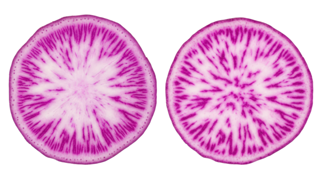 Two Slices Of Purple Radish With White Flesh And Vibrant Pink Veins Isolated On Transparent Background