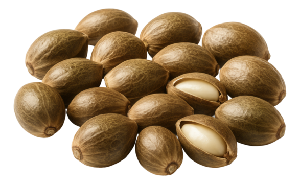 Flounder curry served in a deep bowl with visible chunks of fish and green cilantro