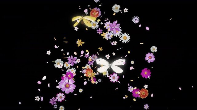 花を散らしながら飛ぶ蝶のアニメーション　黒背景