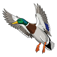 Obraz premium mallard duck hunting illustration logo vector image t shirt