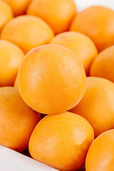 Fresh Shandong Apricots - Ripe Golden Orange Fruit Close-Up