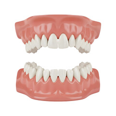 Obraz premium Detailed illustration of human adult teeth arrangement, showing dental anatomy, tooth types, and oral structure for medical and educational use.