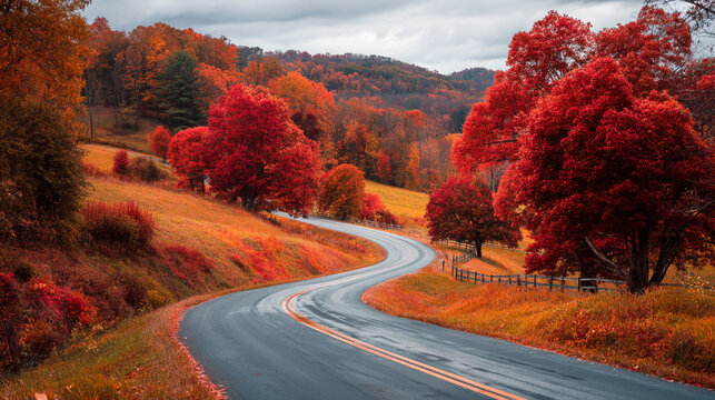 Winding road through autumn landscape with red and orange trees under cloudy sky