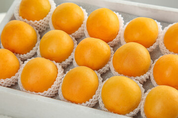 Fresh Apricots from Shandong Yantai China Packed in Box with Protective Foam Nets for Premium Fruit Export