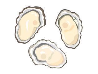 殻付きの牡蠣のイラスト