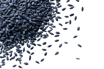 Dark seeds scattered, pile at center