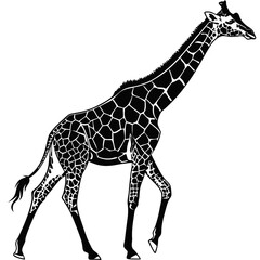 Naklejka premium Giraffe Silhouette: A majestic giraffe, depicted in bold black and white, strides confidently across the frame, showcasing its iconic spots and towering stature.