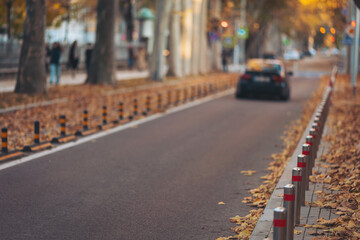 Autumn leaves cover a quiet street lined with bollards as a car drives past in a serene urban setting during late afternoon