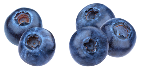 perfect cluster of four large, ripe, deep blue blueberries, freshly picked and isolated against a clean transparent background, ideal for product presentations.