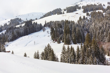 Panoramic winter Alps mountain landscape