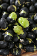 Fresh Black Beans with Green Sprouts - Natural Legume Germination Close-Up