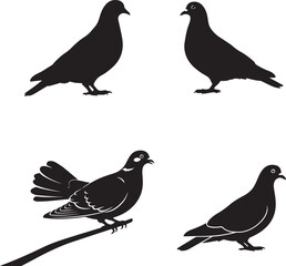 Pigeon Silhouette Set – Stylized Side Profiles with Wing and Eye Accents for Design and Education