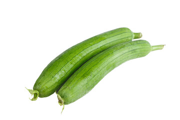 Fresh Green Longline Cucumber Squash Vegetables on White Background