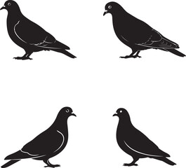 Pigeon Silhouette Set – Stylized Side Profiles with Wing and Eye Accents for Design and Education