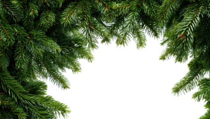 Christmas fir branches frame a dark hole
