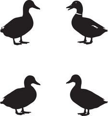 Duck Silhouette Set – Side View Variations with Neck Markings for Design and Educational Use
