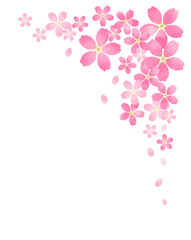 桜の背景イラスト