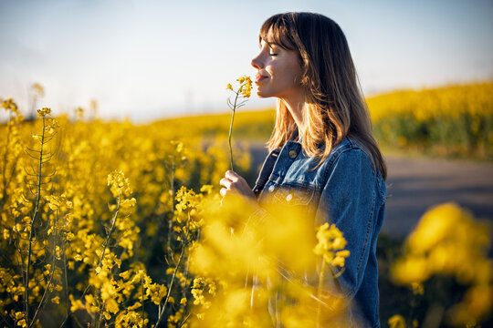 Woman smelling yellow flower in spring field wearing denim jacket