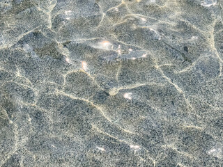 Clear Water Ripples Over Sandy Beach Bottom with Natural Light Patterns