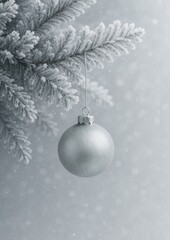 Elegant frosted silver ornament