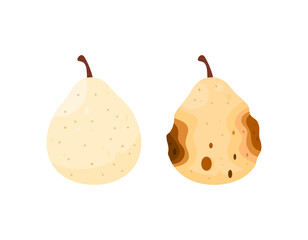 pear illustration. fresh pear with rotten pear. fruit condition. flat style design. element, white background