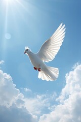 White dove flying gracefully through a bright blue sky with fluffy clouds