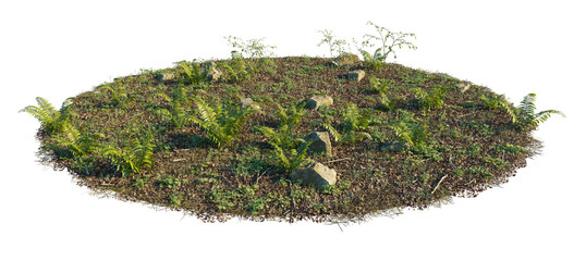 Forest ground pile with ferns, bushes, stones, straw, leaves, clover and micro plants cutout isolated png on a transparent background premium nature cutout
