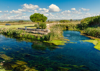 Fototapeta premium Angolo di Paradiso a Taranto : La Natura Intatta del Fiume Tara, il 