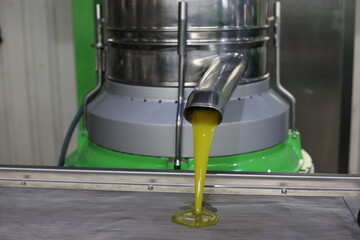 Fresh olive oil flowing from separator