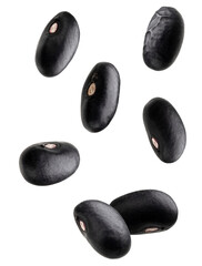 group of several dry black turtle beans, a healthy and protein-rich legume staple, isolated and suspended or floating against a deep transparent background.