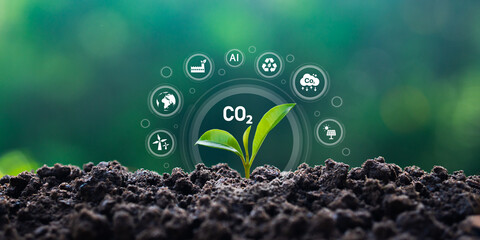 Growing Sapling with CO2 Carbon Reduction Icons