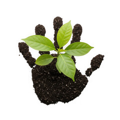New growth sprouts from handprint in rich soil symbolizing life transparent background