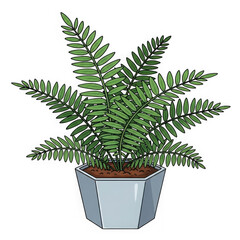 Lush green fern plant in a modern geometric pot transparent background