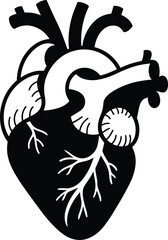 Anatomical heart svg, Medical heart svg
