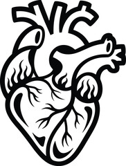 Anatomical heart svg, Medical heart svg