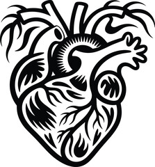 Anatomical heart svg, Medical heart svg