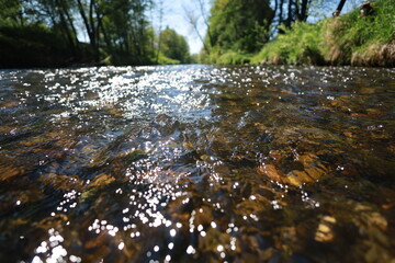 The water is clear and calm, with some rocks scattered throughout
