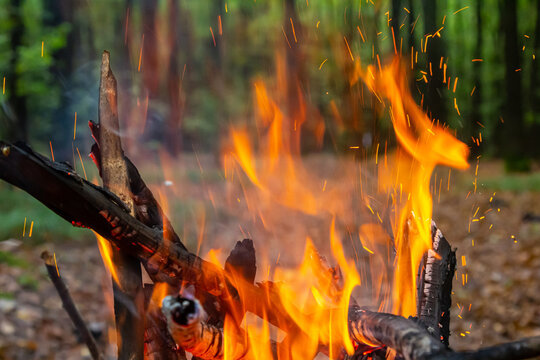 Warm flames dancing in a forest during a calm evening campfire gathering amidst autumn foliage