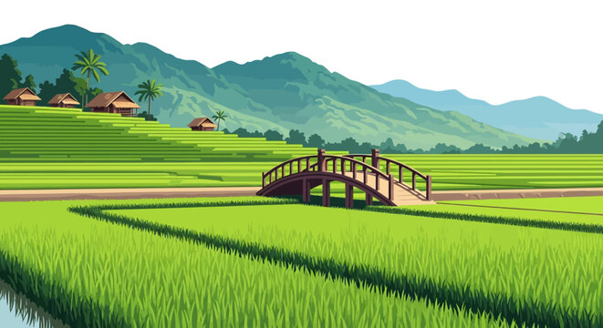 Vibrant illustration of lush green rice paddies with a small wooden bridge and distant mountains under a clear sky.