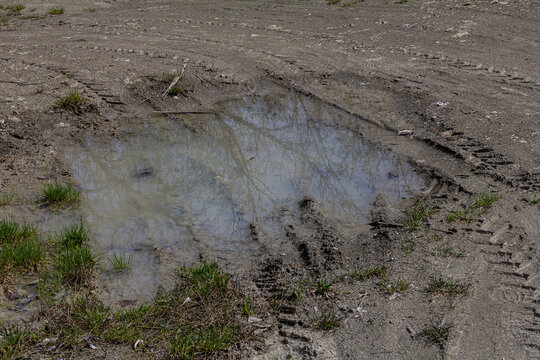 Calm water reflects trees in a muddy puddle on a dirt road after recent rainfall near a rural area