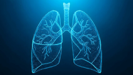 A digital representation of human lungs, constructed from interconnected points and lines, symbolizing respiratory health, pulmonary function, and advanced medical imaging