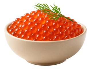 Single farfalle pasta piece on a white porcelain plate, highlighting its bow-tie form.