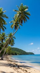 Tropical Beach Paradise with Palm Trees and Blue Sky.