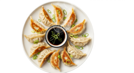 Plate of traditional pan-fried Asian potstickers and dumplings with soy sauce and green onions isolated PNG with Transparent Background
