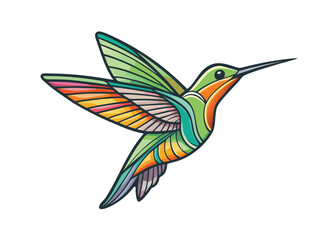 Obraz premium Colorful hummingbird