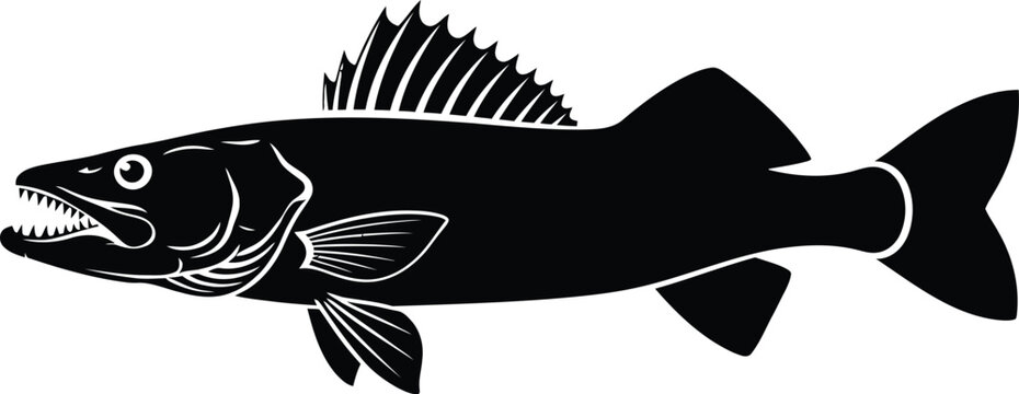 Walleye fish vector illustration for fishing and wildlife enthusiasts eps silhouette