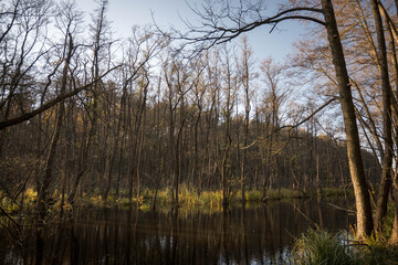 Autumn landscape, walking along the river bank.
