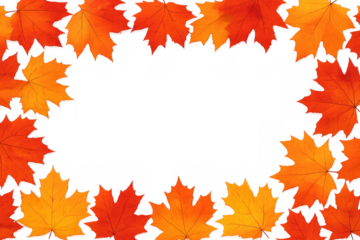 Autumn maple leaves creating a colorful seasonal border with vibrant fall colors and transparent background